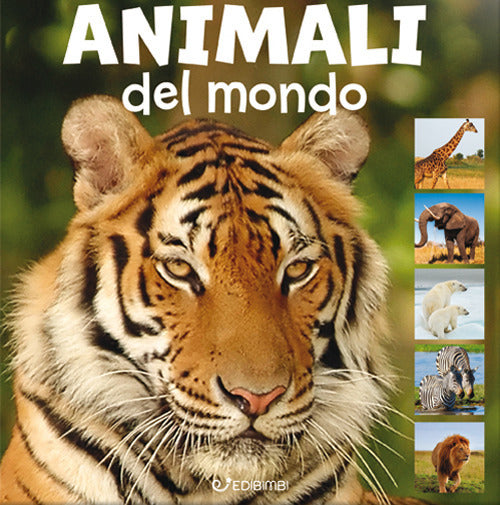 Animali del mondo - Libro cartonato